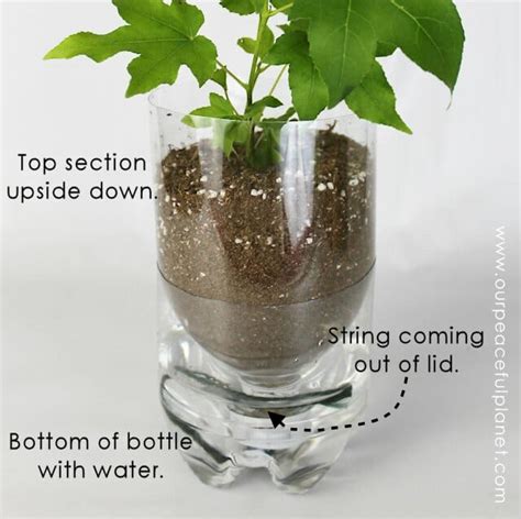 Plastic Bottle Recycling Project: DIY Self Watering Planters