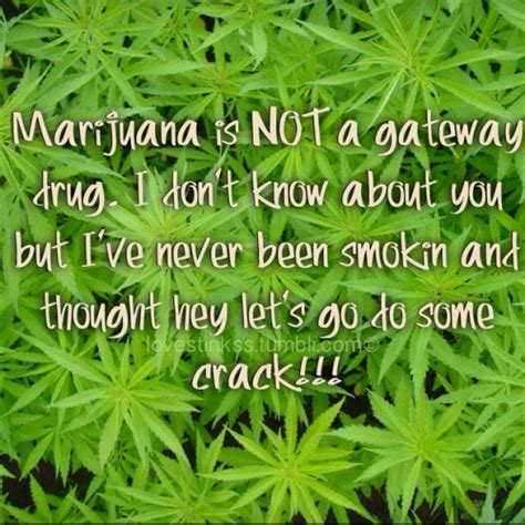 weed quotes on Tumblr