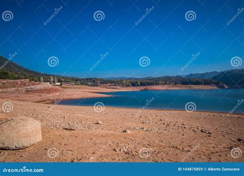 Swamp in Sau Reservoir, Catalonia, Spain. Stock Image - Image of roman ...