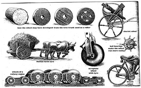 Evolution of the wheel | Evolution, Hindi worksheets, Prehistory