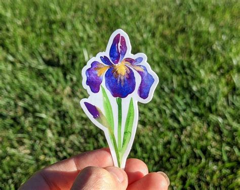 Iris Floral Vinyl Sticker. Watercolor Design Sticker. Flower | Etsy