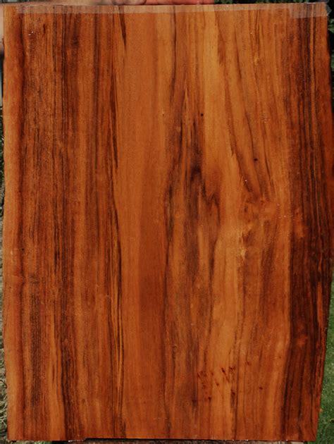 Patagonian Rosewood Live Edge Lumber – Cook Woods