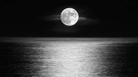 Moon, sea, night [2560x1440] : r/WQHD_Wallpaper