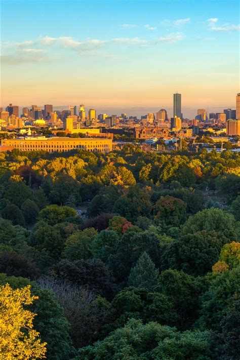 Wallpaper Boston, city, trees, autumn, USA 2880x1800 Picture, Image