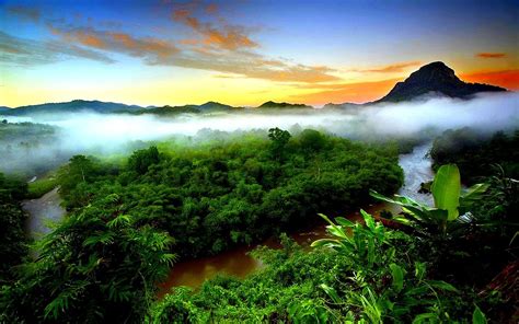 Tropical Rainforest Mist Evaporation Green Forest Mountain Sky Sunset ...