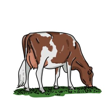 Cow Eating Grass PNG Image, Hand Drawn Cartoon Cows Eat Grass, Cow, Milk, Cattle PNG Image For ...