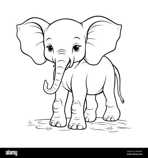 Baby Elephant Coloring Page Drawing For Kids Stock Vector – NBKomputer