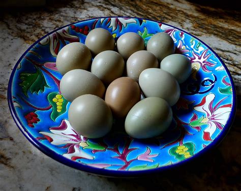 Philly Market Cafe: Pheasant Eggs Before/After