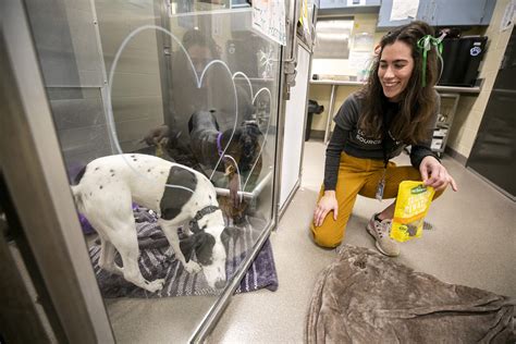 You can keep a Denver shelter animal company by reading to it for a little while - Denverite ...