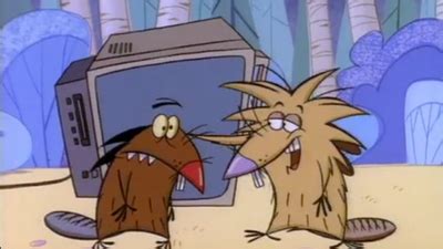 The Angry Beavers - Nickelodeon - Watch on Paramount Plus