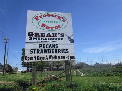 Pick Your Own Strawberries This Spring At Froberg's Farm In Texas