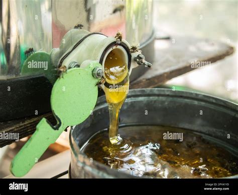 honey production and bees keeping - Beekeeping concept Stock Photo - Alamy