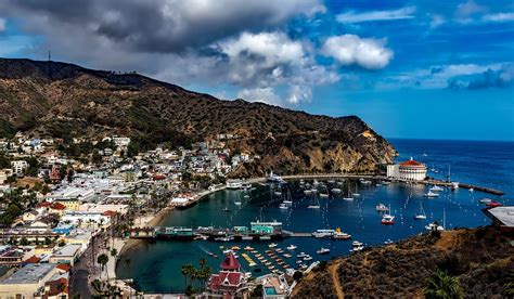 A Perfect Catalina Island Day Trip - the Complete Guide