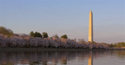 Washington Dc Monuments Stock Video Footage for Free Download