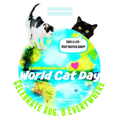 It’s World Cat Day! | Cat Wisdom 101