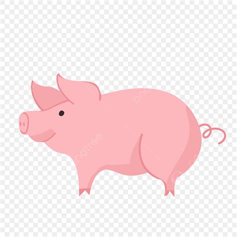 Pig White Transparent, Pig Vector, Pig Clipart, Pig Vector Illustration Pig Vector Illustration ...