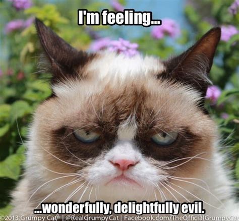 Ah...it's a good day. | Grumpy cat, Grumpy cat humor, Grumpy cat meme