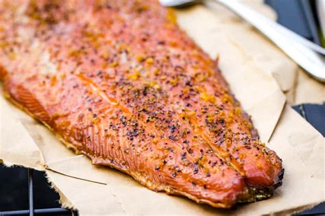 Smoked Salmon Recipes For Electric Smoker | Besto Blog