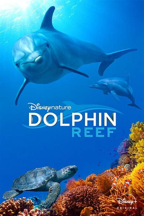 Disneynature: Elephant | On Disney+