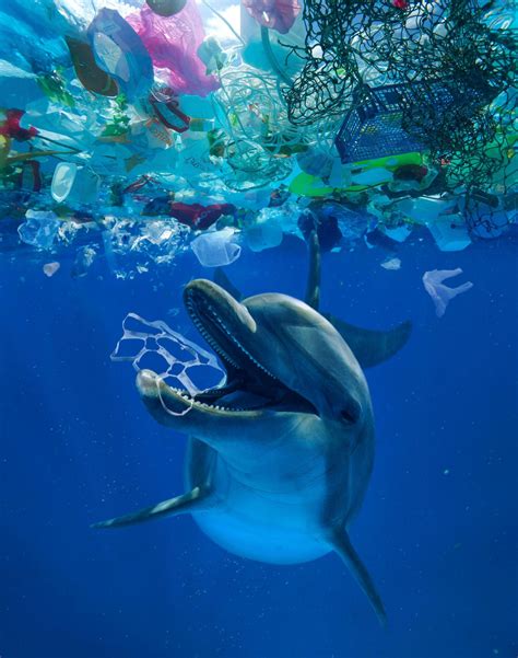 Plastic Pollution: Sea to Source | National Geographic Society