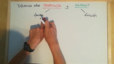 Diferencia entre MORFOLOGÍA y SINTAXIS - YouTube