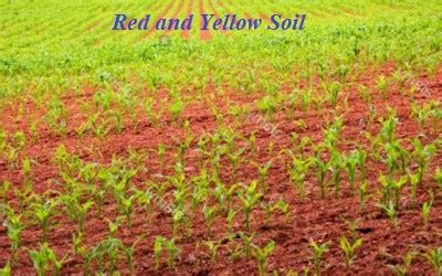 Red and Yellow Soil in Indian Subcontinent - QS Study