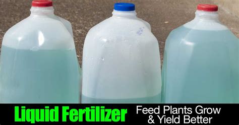 Liquid Fertilizer For Plants: Use | Growing | Application | Spray | Water