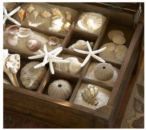 Jeri’s Organizing & Decluttering News: Collections on Display: Shells and More