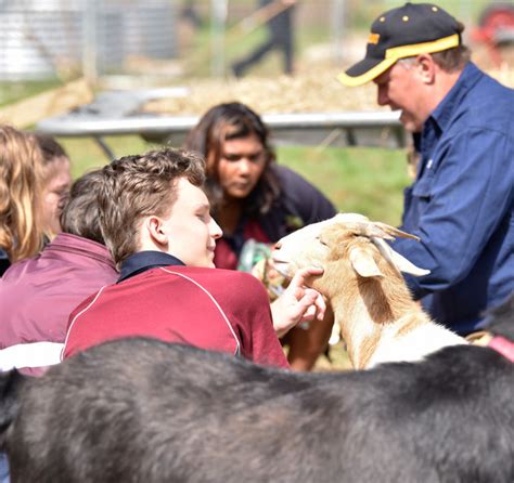 Our Farm Program | Bundoora Secondary College