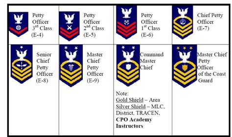 Petty Officer Rating Badge Background Colors - Page 2 - NAVY, COAST ...