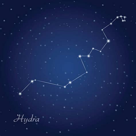 Hydra Constellation stock vectors - iStock