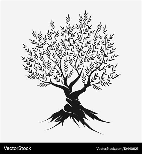 Olive tree silhouette icon Royalty Free Vector Image