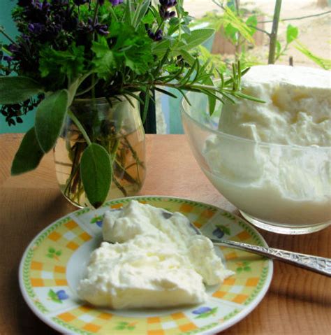 Yoghurt Cheese Labna) Recipe - Food.com