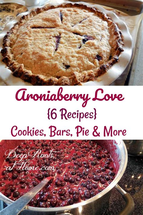 aronia berry pie recipes - Marlin Mcginnis