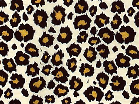 Leopard Print Tissue Paper 240 sheets 100% by DIYFloristSupply