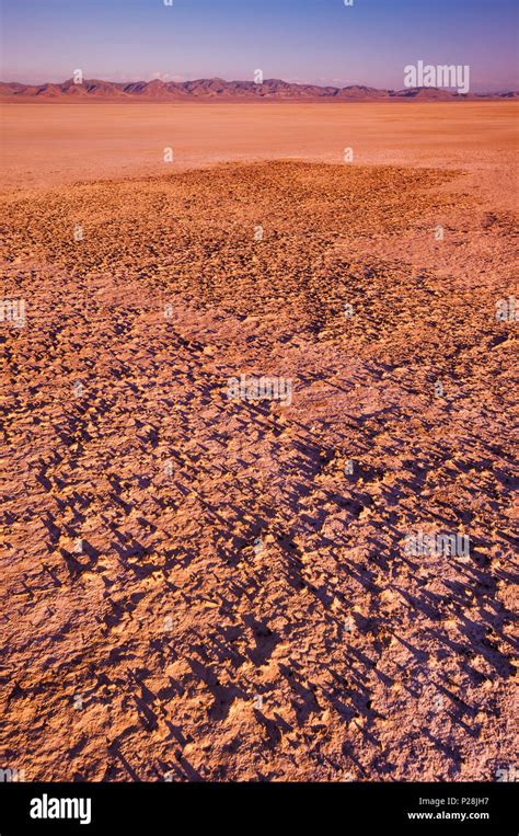 Salt deposit at Sevier Lake, dry lake, at sunset, Great Basin Desert ...