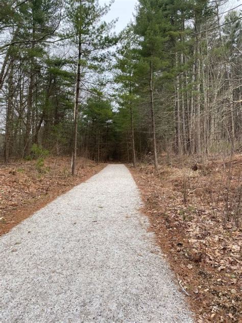 40+ Hiking trails in western Massachusetts that are dog friendly | WWLP