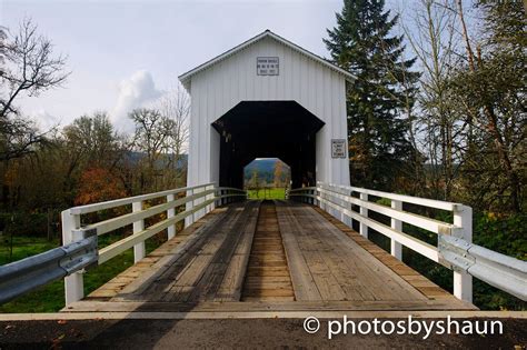 Cottage Grove, Oregon-What you need to know. - Eugene's Best Local Businesses