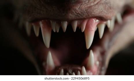 157,275 Teeth Scary Images, Stock Photos, 3D objects, & Vectors ...