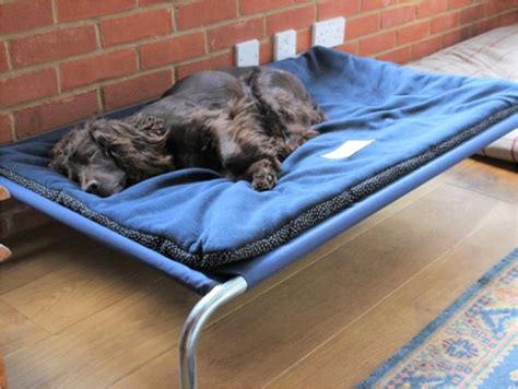 Large Raised Dog Beds UK - Best Quality Elevated Dog Beds