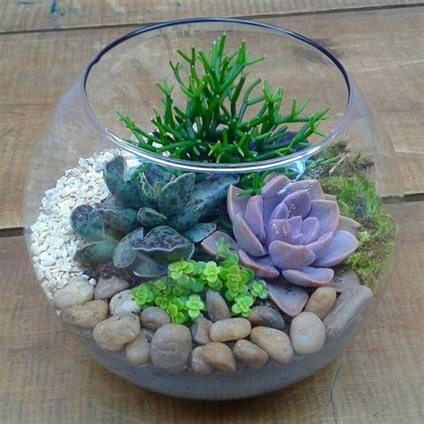 60+ DIY Indoor Succulent Arrangements Ideas 2019 - Page 3 of 61 - Kornelia Beauty