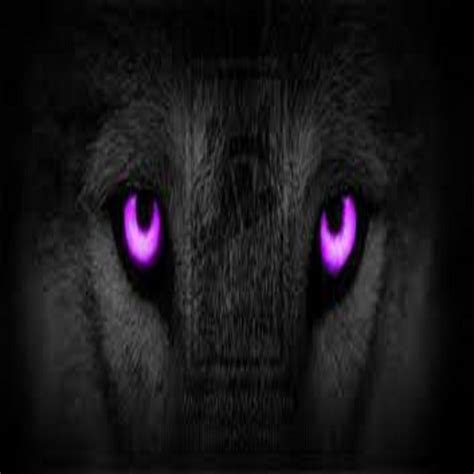 wolf purple - Wolf lovers place Photo (33387746) - Fanpop