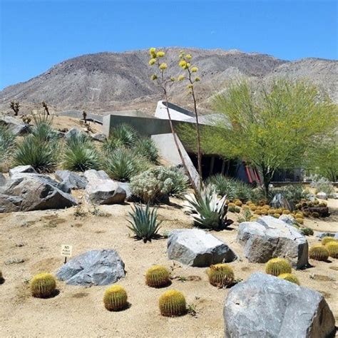 Top 70 Best Desert Landscaping Ideas - Drought Tolerant Plants