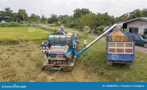 Rice Farm on Harvesting Season by Farmer with Combine Harvesters Editorial Image - Image of ...