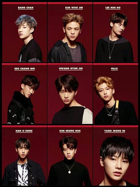 Stray Kids Members With Names