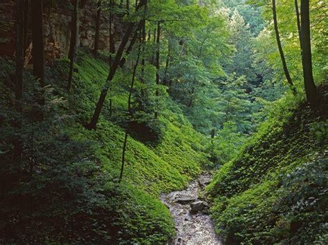 Shades State Park; Crawfordsville, Indiana | State parks, Places to go ...