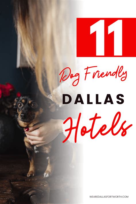 11 Dog-Friendly Dallas Hotels That Won't Disappoint - We Are Dallas Fort Worth