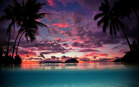 HD wallpaper: landscape, beach, sunset, tropical, nature, palm trees, water | Wallpaper Flare