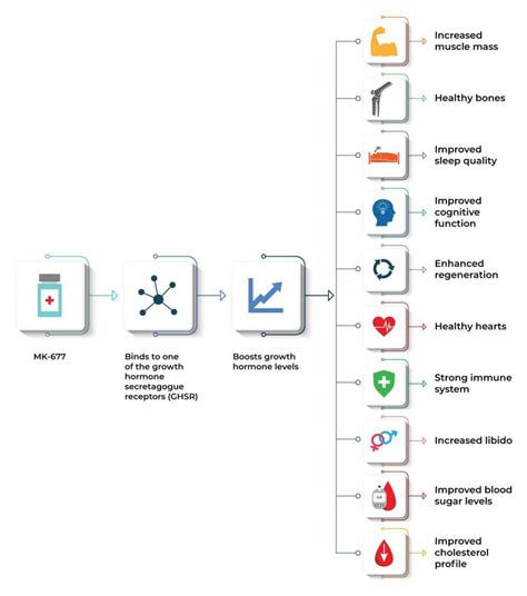 MK 677 Dosage: How & When to Take It {& Best Cycle Length} - verloop.io