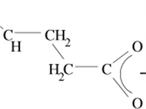 MSG (Monosodium Glutamate) - WriteWork